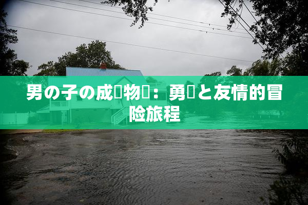 男の子の成長物語：勇気と友情的冒险旅程