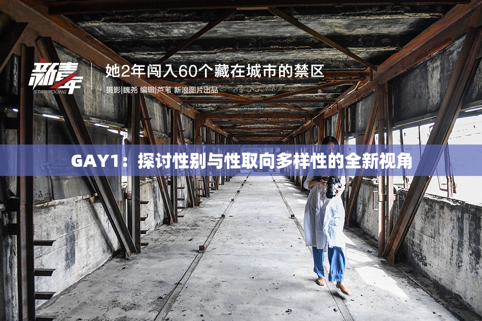 GAY1：探讨性别与性取向多样性的全新视角
