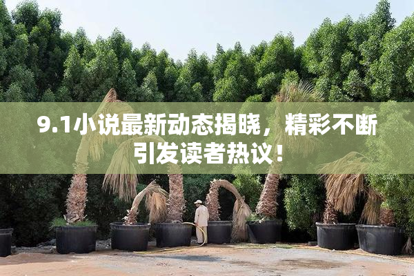 9.1小说最新动态揭晓，精彩不断引发读者热议！