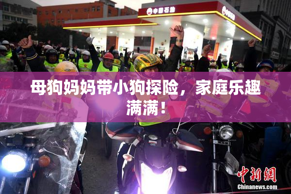 母狗妈妈带小狗探险，家庭乐趣满满！