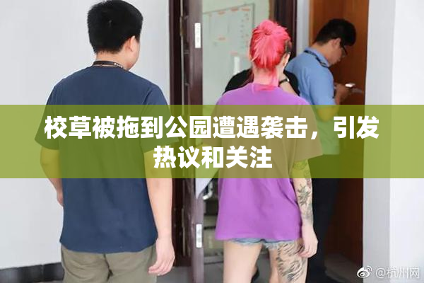 校草被拖到公园遭遇袭击，引发热议和关注