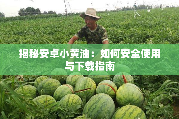 揭秘安卓小黄油：如何安全使用与下载指南