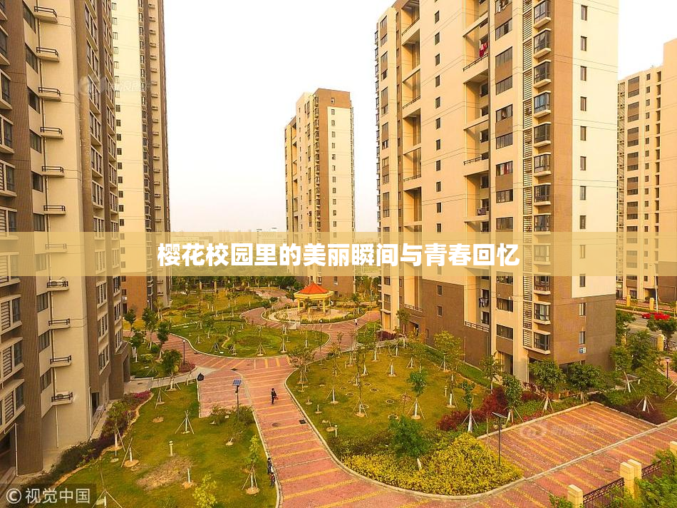 樱花校园里的美丽瞬间与青春回忆
