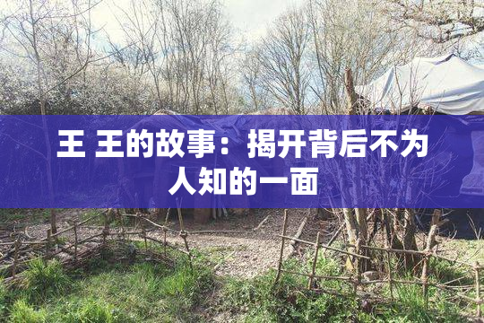 王 王的故事：揭开背后不为人知的一面