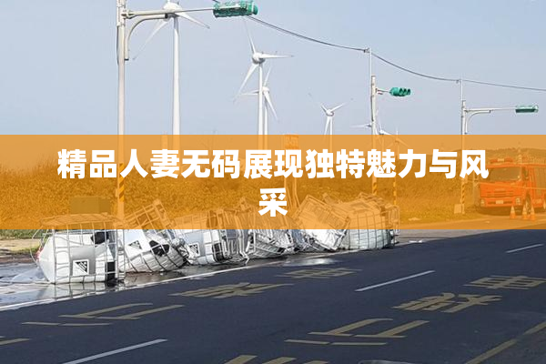 精品人妻无码展现独特魅力与风采