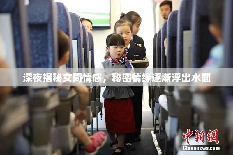 深夜揭秘女同情感，秘密情缘逐渐浮出水面