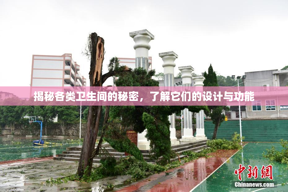 揭秘各类卫生间的秘密，了解它们的设计与功能