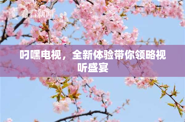 叼嘿电视，全新体验带你领略视听盛宴
