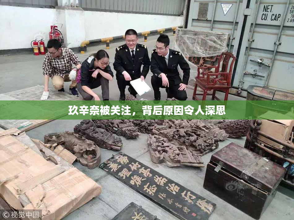 玖辛奈被关注，背后原因令人深思