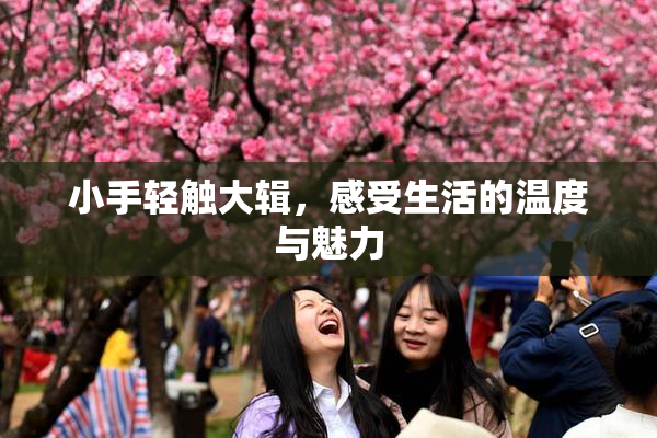 小手轻触大辑，感受生活的温度与魅力