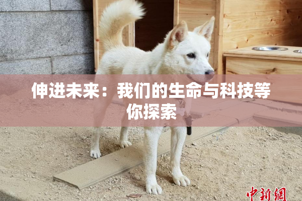 伸进未来：我们的生命与科技等你探索