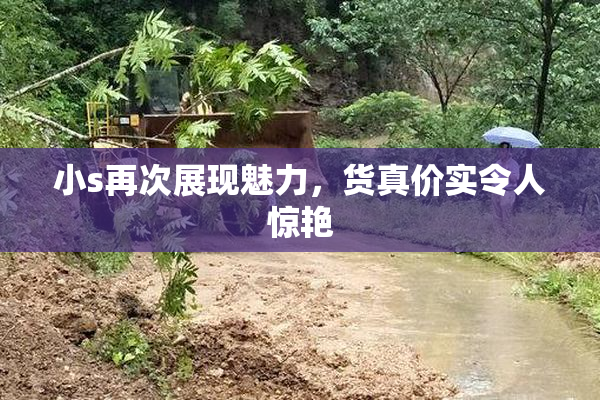 小s再次展现魅力，货真价实令人惊艳