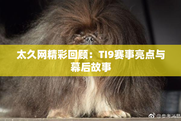 太久网精彩回顾：TI9赛事亮点与幕后故事