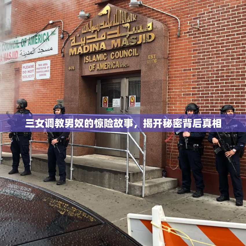 三女调教男奴的惊险故事，揭开秘密背后真相