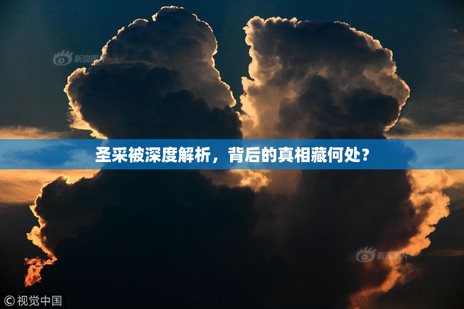 圣采被深度解析，背后的真相藏何处？
