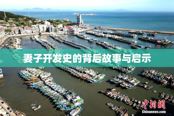 妻子开发史的背后故事与启示