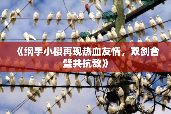 《纲手小樱再现热血友情，双剑合璧共抗敌》