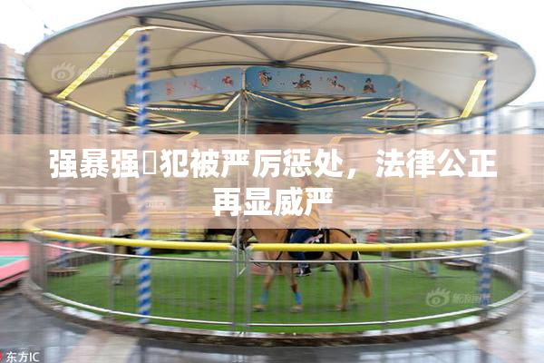 强暴强姦犯被严厉惩处，法律公正再显威严