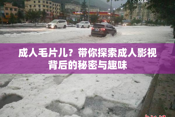 成人毛片儿？带你探索成人影视背后的秘密与趣味