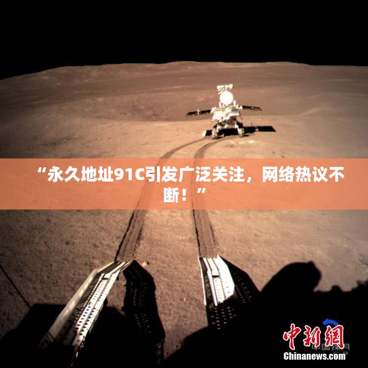 “永久地址91C引发广泛关注，网络热议不断！”