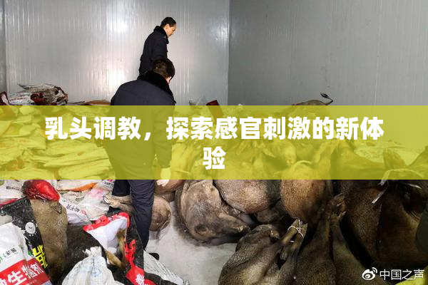 乳头调教，探索感官刺激的新体验
