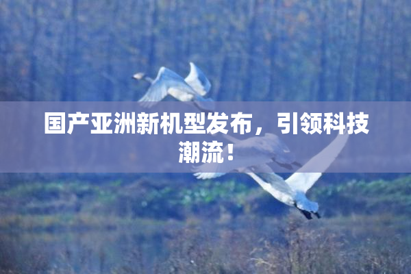 国产亚洲新机型发布，引领科技潮流！