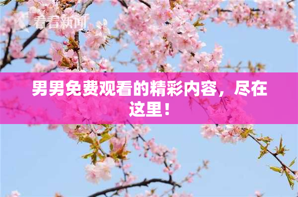 男男免费观看的精彩内容，尽在这里！
