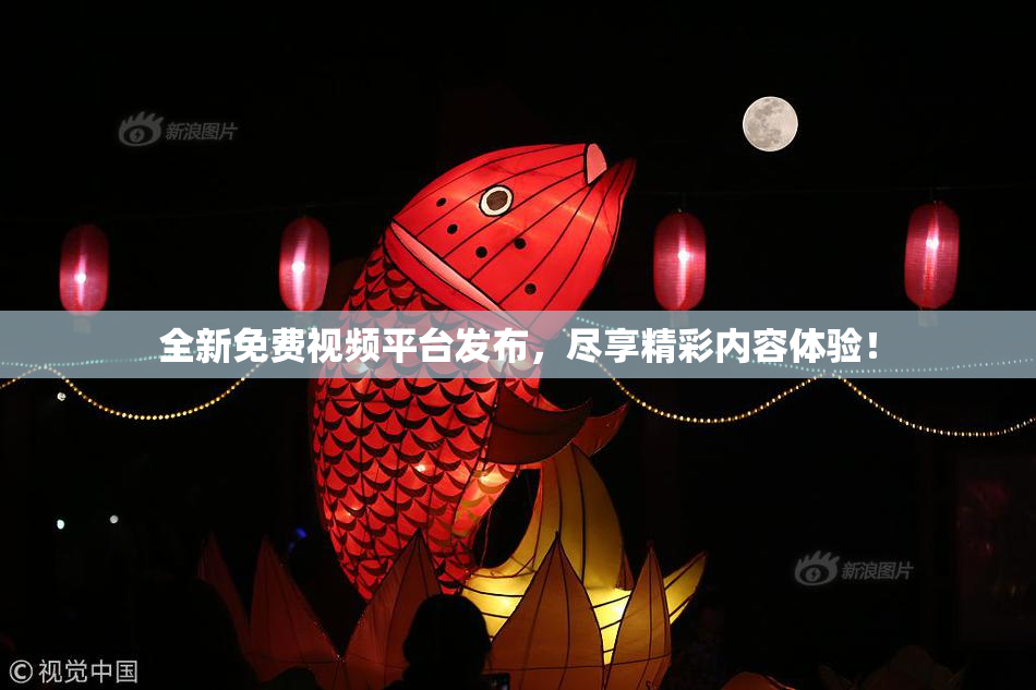 全新免费视频平台发布，尽享精彩内容体验！