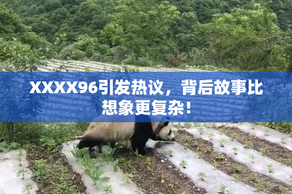 XXXX96引发热议，背后故事比想象更复杂！
