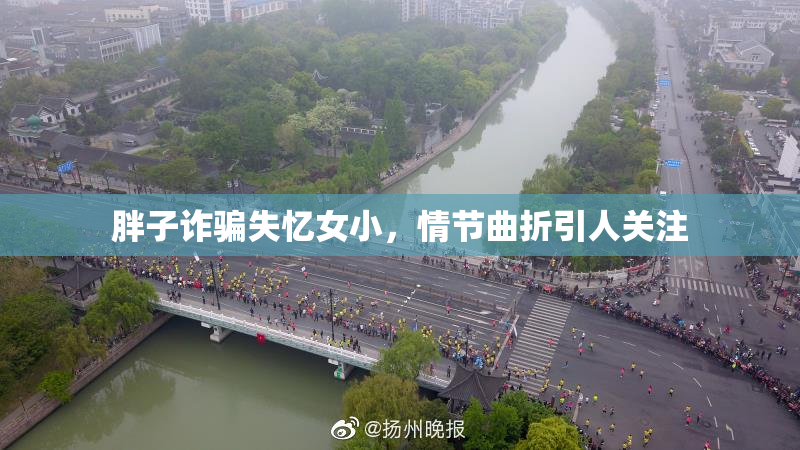 胖子诈骗失忆女小，情节曲折引人关注