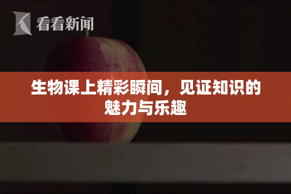 生物课上精彩瞬间，见证知识的魅力与乐趣