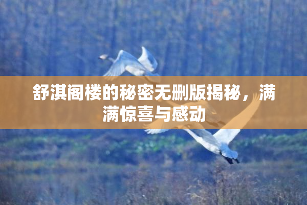 舒淇阁楼的秘密无删版揭秘，满满惊喜与感动
