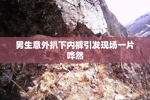 男生意外扒下内裤引发现场一片哗然