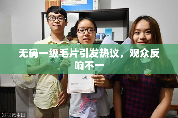 无码一级毛片引发热议，观众反响不一