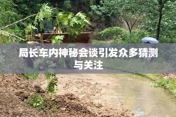 局长车内神秘会谈引发众多猜测与关注