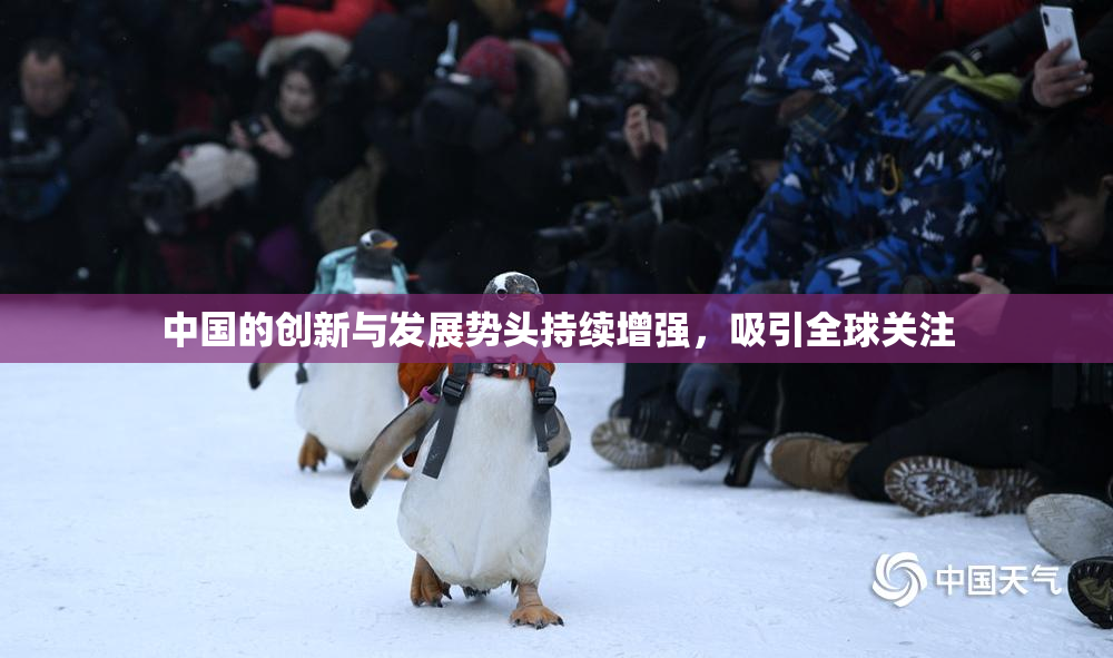 中国的创新与发展势头持续增强，吸引全球关注