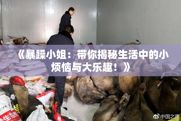 《暴躁小姐：带你揭秘生活中的小烦恼与大乐趣！》