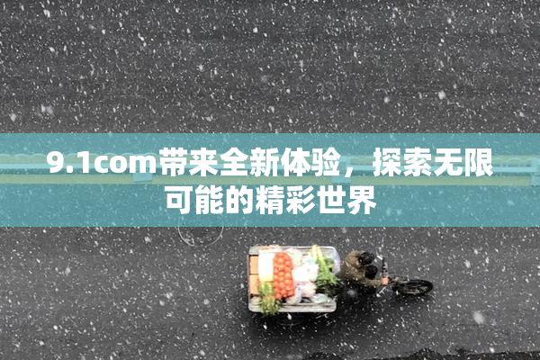 9.1com带来全新体验，探索无限可能的精彩世界