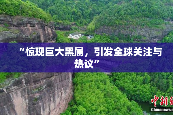 “惊现巨大黑属，引发全球关注与热议”