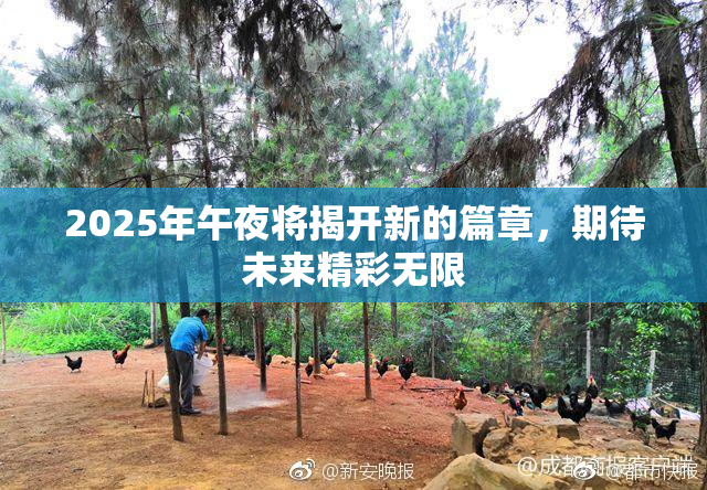 2025年午夜将揭开新的篇章，期待未来精彩无限
