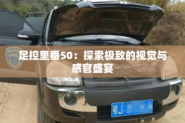 足控里番50：探索极致的视觉与感官盛宴