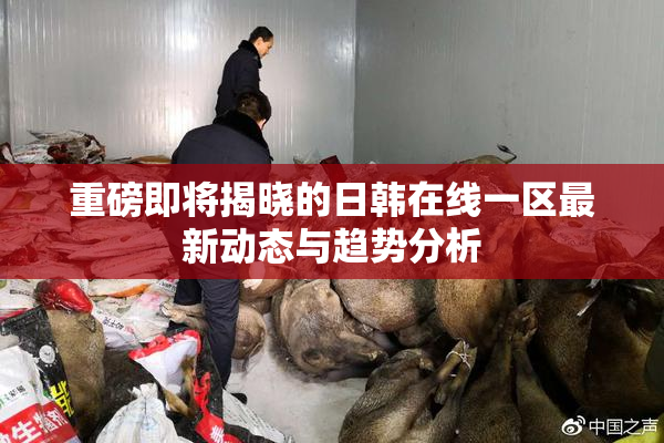 重磅即将揭晓的日韩在线一区最新动态与趋势分析
