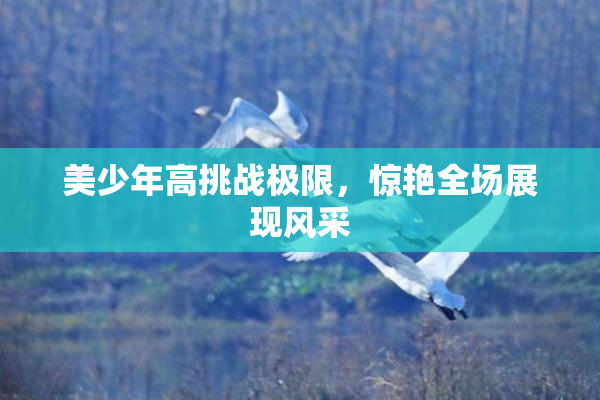 美少年高挑战极限，惊艳全场展现风采