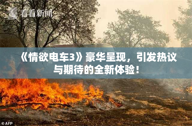 《情欲电车3》豪华呈现，引发热议与期待的全新体验！