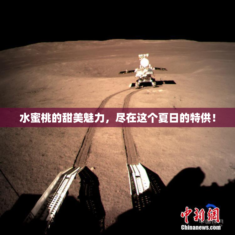 水蜜桃的甜美魅力，尽在这个夏日的特供！