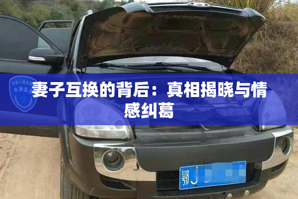 妻子互换的背后：真相揭晓与情感纠葛