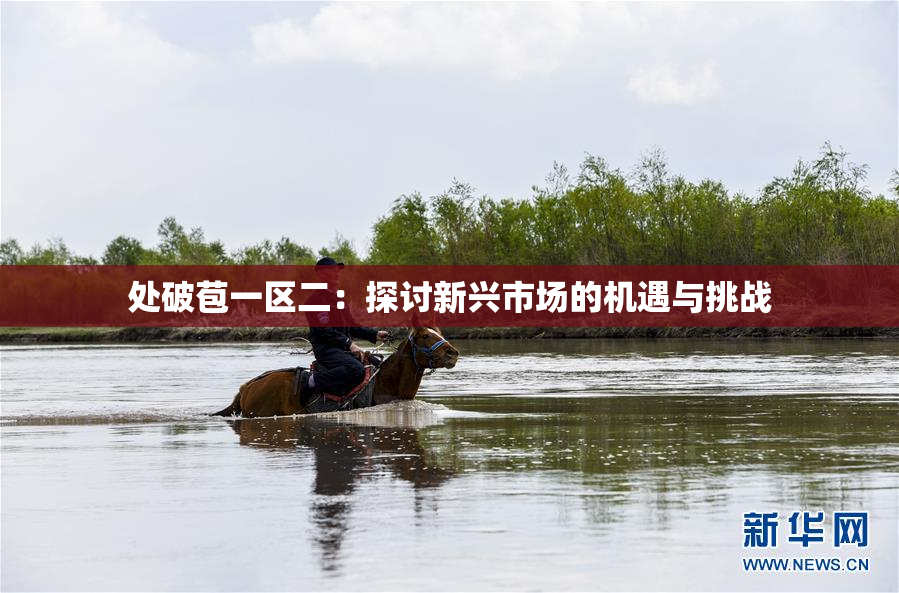处破苞一区二：探讨新兴市场的机遇与挑战