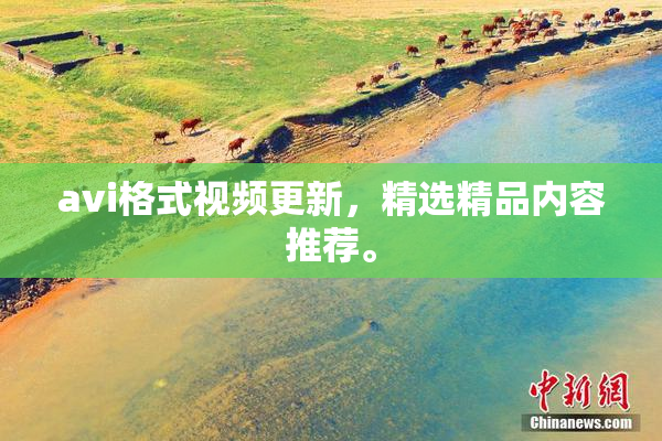 avi格式视频更新，精选精品内容推荐。