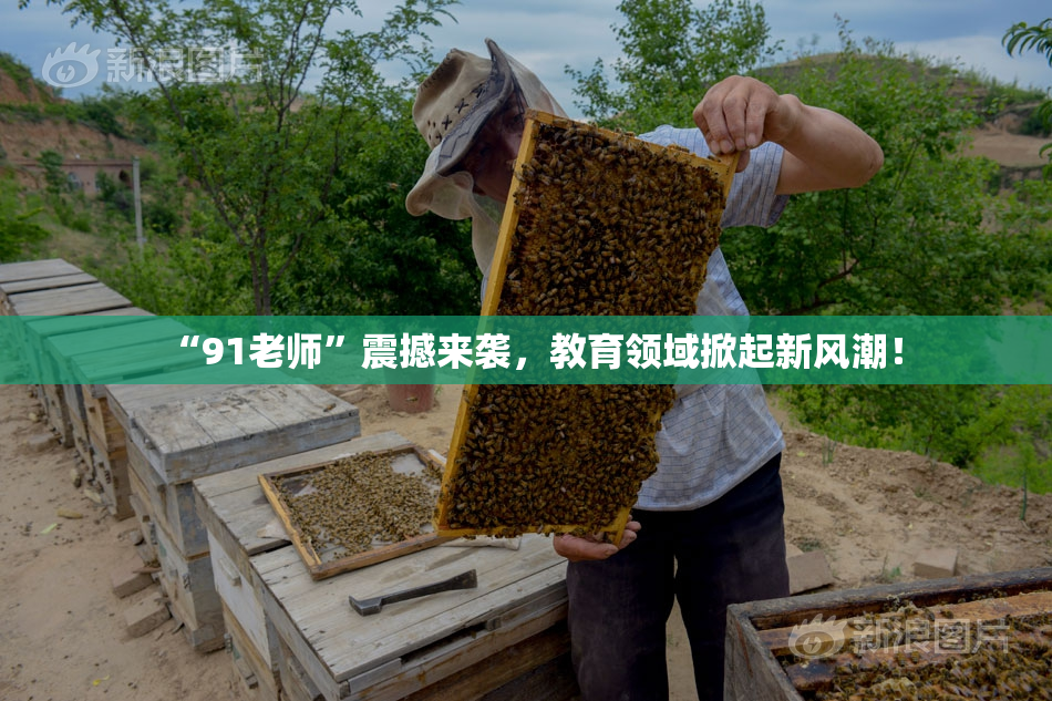 “91老师”震撼来袭，教育领域掀起新风潮！