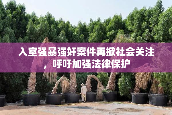 入室强暴强奸案件再掀社会关注，呼吁加强法律保护